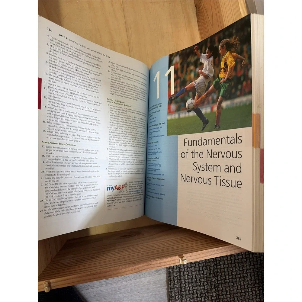 Human Anatomy And Physiology  by Elaine Marieb